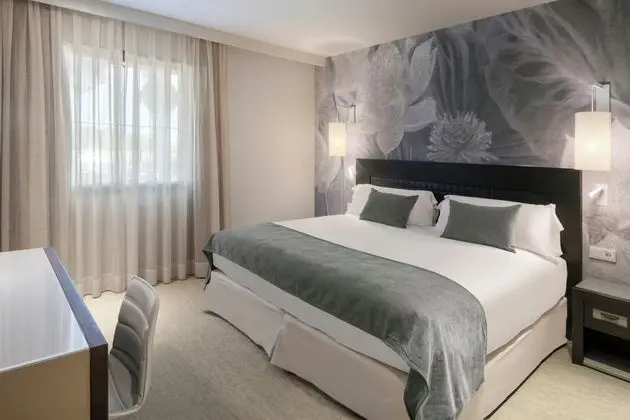 Büyük Yataklı Tek Kişilik Oda (with Spa access)