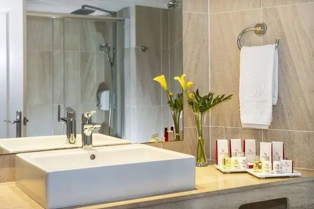 Junior Süit, Teras (with Spa Access)