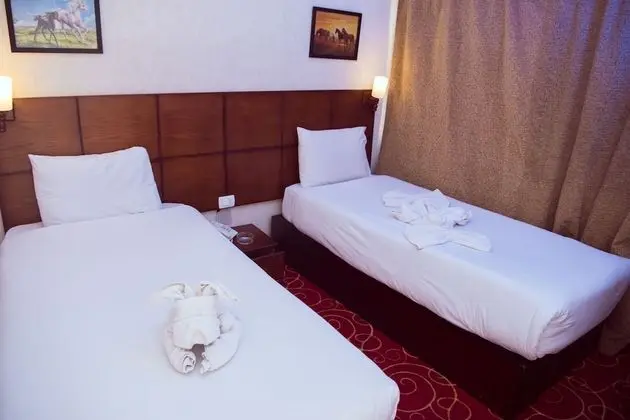 Standard Tek Kişilik Oda, 1 Yatak Odası, Şehir Manzaralı