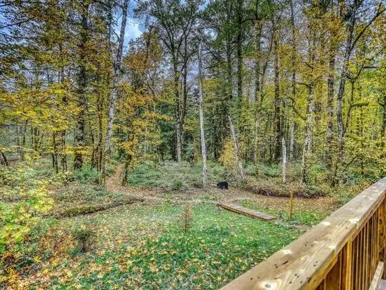 Kulübe, Birden Çok Yatak (Salmon River Chalet)