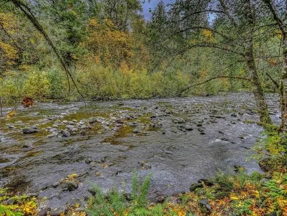 Kulübe, Birden Çok Yatak (Salmon River Chalet)