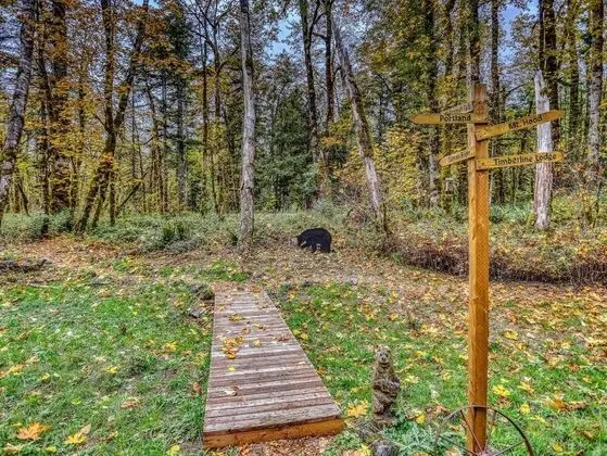 Kulübe, Birden Çok Yatak (Salmon River Chalet)
