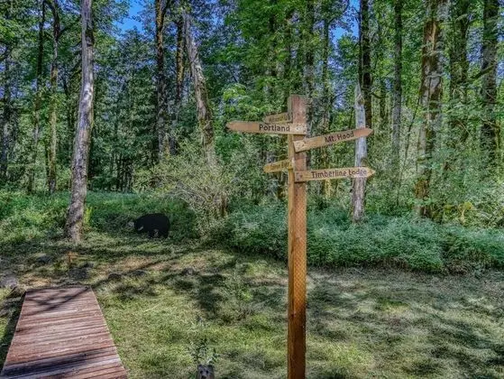 Kulübe, Birden Çok Yatak (Salmon River Chalet)