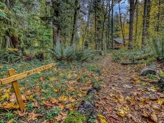 Kulübe, Birden Çok Yatak (Salmon River Chalet)