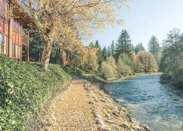 Daire, 1 En Büyük (King) Boy Yatak ve Çekyat (Salmon River Condo #5)