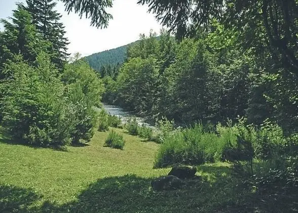 Daire, 1 En Büyük (King) Boy Yatak ve Çekyat (Salmon River Condo #5)