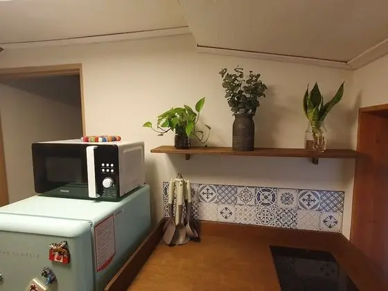 Traditional Ev
