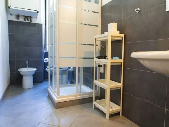 Basic Tek Büyük Yataklı Oda, 1 Çift Kişilik Yatak, Özel Banyo