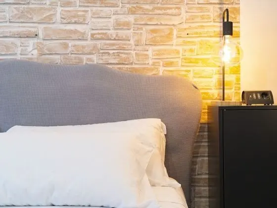 Classic Oda, 1 Çift Kişilik Yatak, Banyolu/Duşlu, Bahçe Manzaralı