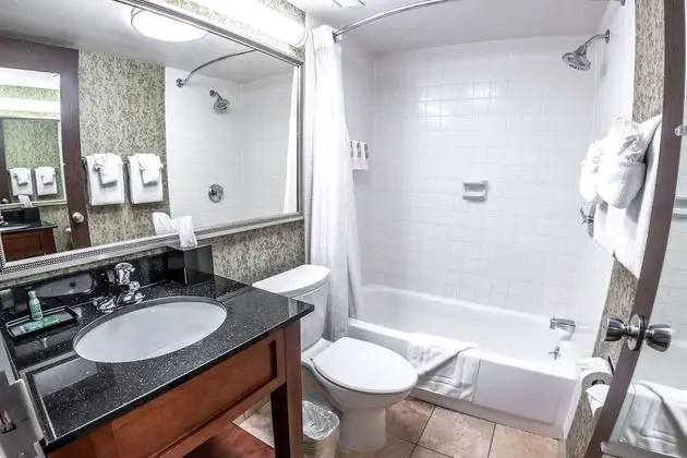 Deluxe Oda, 2 Büyük (Queen) Boy Yatak, Buzdolabı ve Mikrodalga, Şehir Manzaralı (Larger Room)