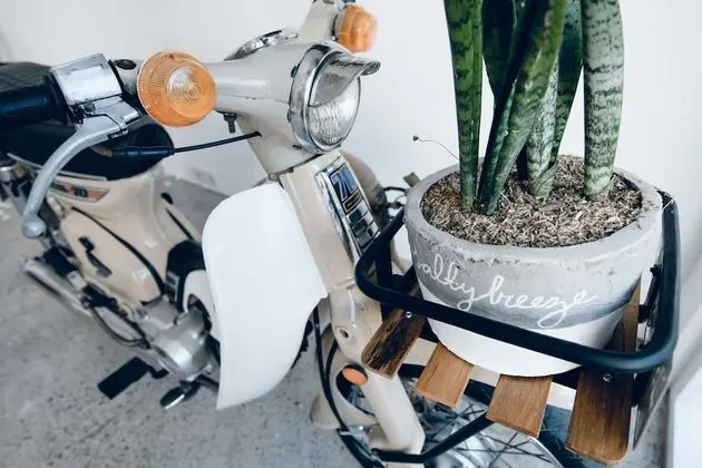 The Boutique