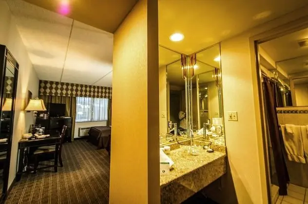 Jacuzzi Suite, 1 King Bed (2 person whirlpool included)