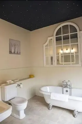 Deluxe Tek Büyük Yataklı Oda (TEME)
