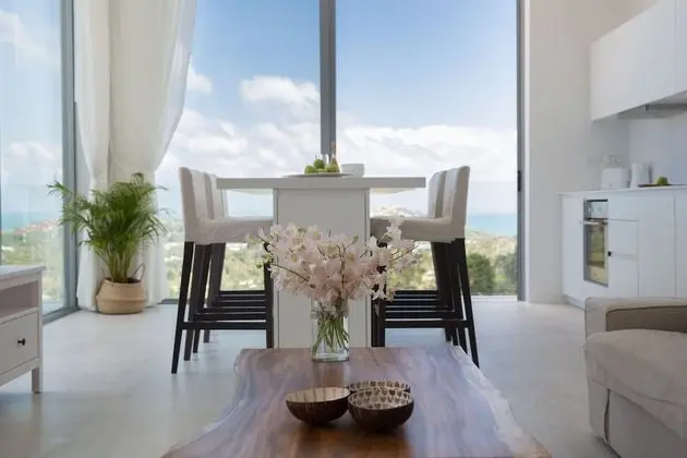 Çatı Katı Süiti (Penthouse)