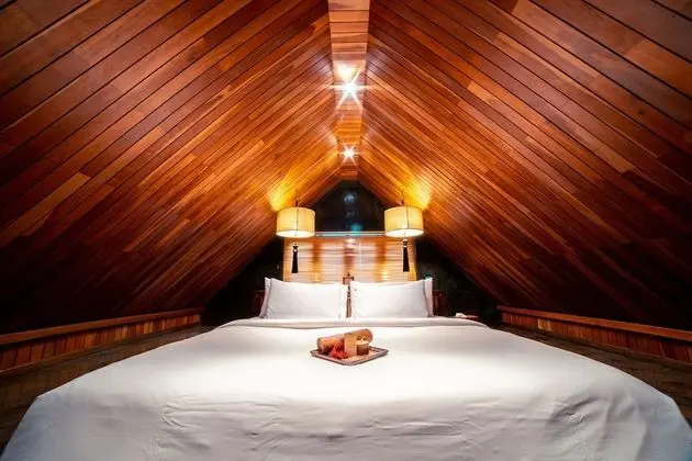 Çatı Katı (Loft), 1 En Büyük (King) Boy Yatak, Sigara İçilmez, Kişiye Özel Havuzlu