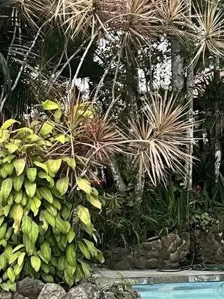 Panoramic Tek Büyük Yataklı Oda