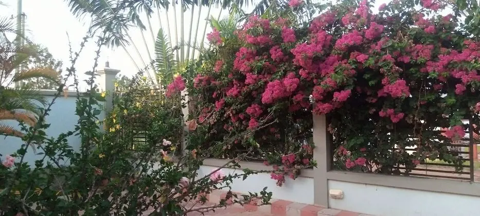 Tek Büyük Yataklı Oda (Bungalow )