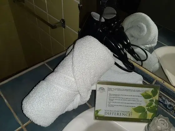 Superior Tek Büyük Yataklı Oda, 1 En Büyük (King) Boy Yatak, Balkon, Bahçe Manzaralı