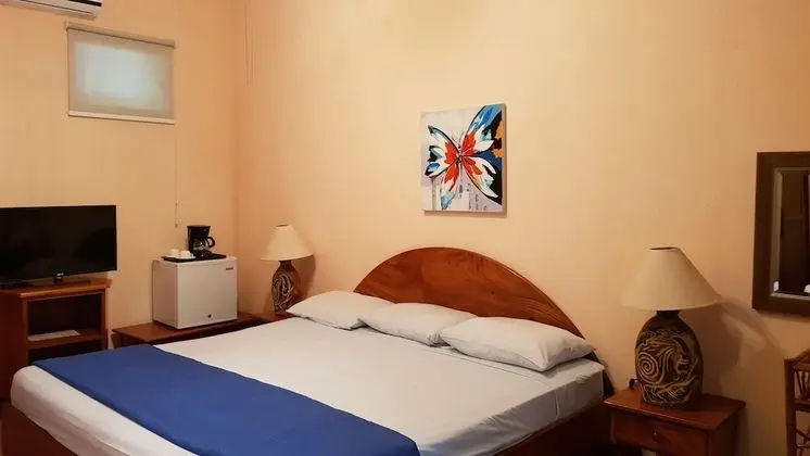 Superior Tek Büyük Yataklı Oda, 1 En Büyük (King) Boy Yatak, Balkon, Bahçe Manzaralı