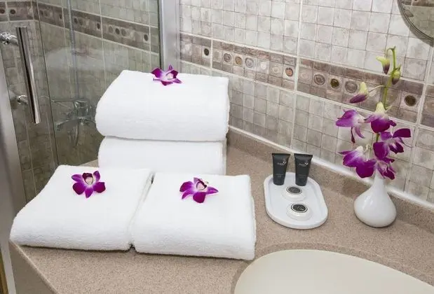 Double Room Single Occupancy City View