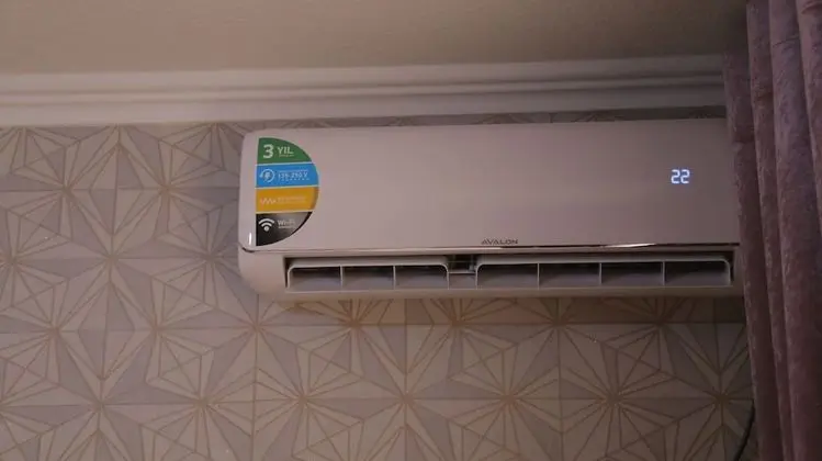 Standard Oda