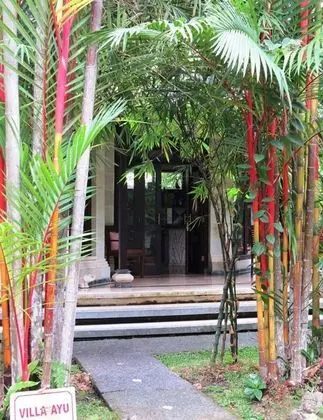 Villa, 1 Yatak Odası, Bahçe Manzaralı (Ayu)