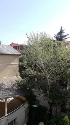 Standard Apart Daire, 3 Yatak Odası