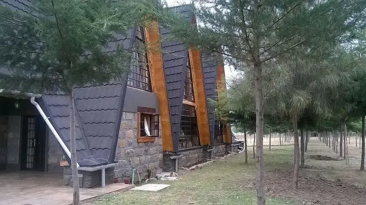 Standard Kır Evi, Göl Manzaralı