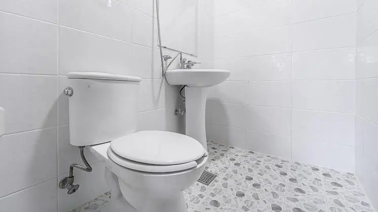 Basic Oda, 1 Yatak Odası (101 (PET))