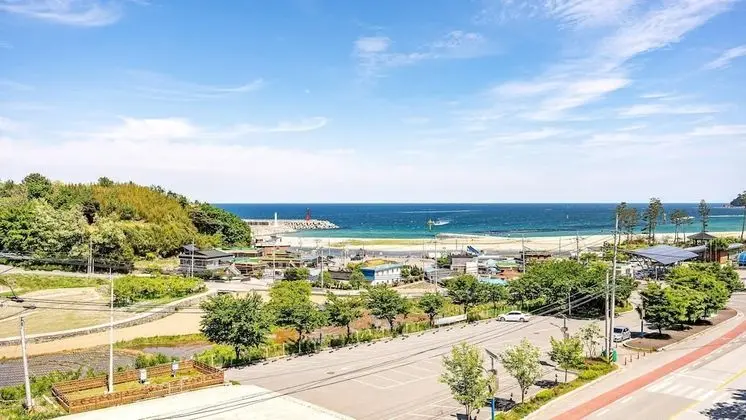 Basic Oda, 1 Yatak Odası (401(Oceanview))