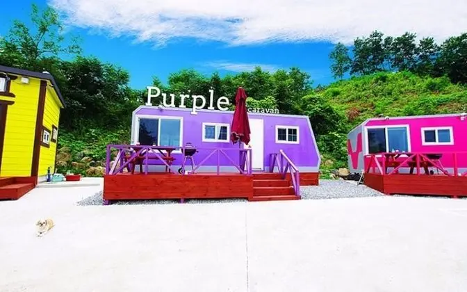 Oda (Caravan-Purple)