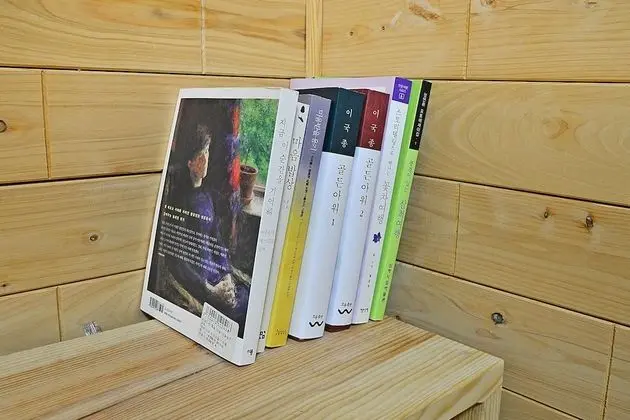 Basic Oda, 1 Yatak Odası (Nakyeopsong ( F2 ))