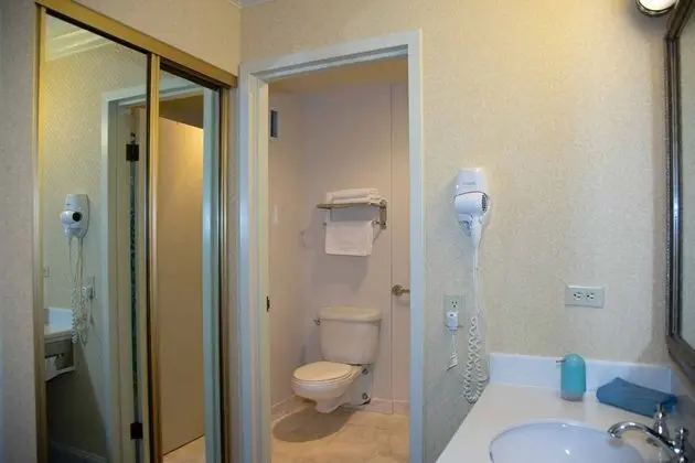Premium Tek Büyük Yataklı Oda, 1 Büyük (Queen) Boy Yatak, Özel Banyo, Avlu