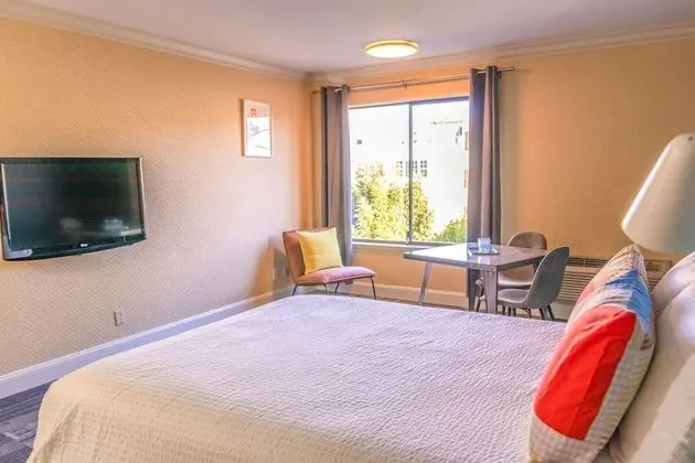 Premium Tek Büyük Yataklı Oda, 1 Büyük (Queen) Boy Yatak, Özel Banyo, Avlu