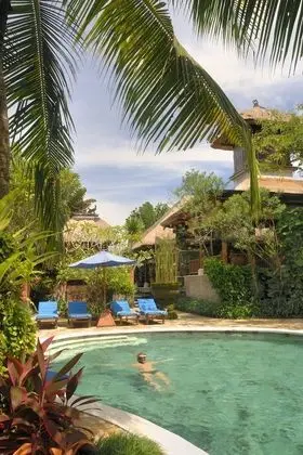 Deluxe Oda, 1 En Büyük (King) Boy Yatak