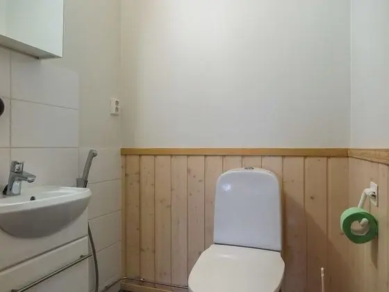 Ev