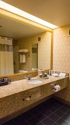 Premium Oda, 1 En Büyük (King) Boy Yatak, Sigara İçilebilir