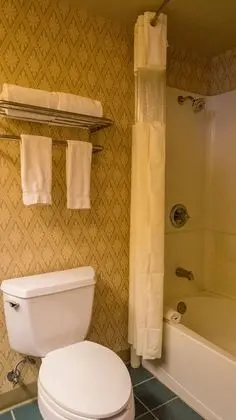 Premium Oda, 2 Çift Kişilik Yatak, Sigara İçilebilir