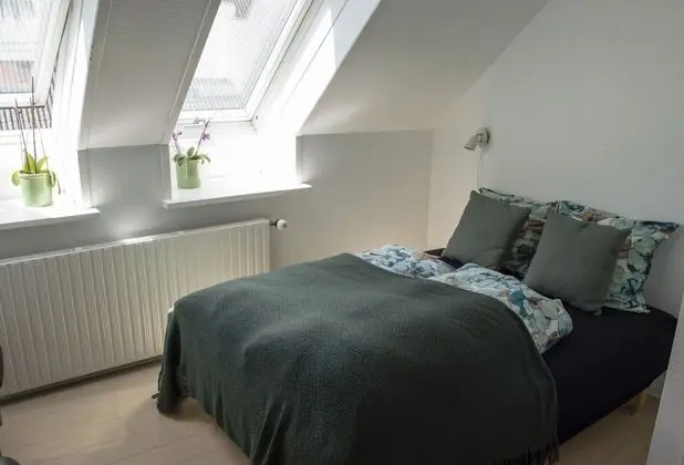 Basic Tek Büyük veya İki Ayrı Yataklı Oda, 1 Çift Kişilik Yatak