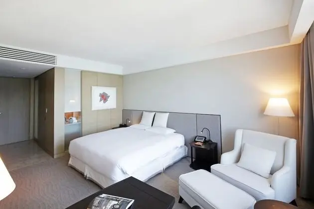 Deluxe Tek Büyük Yataklı Oda, Dağ Manzaralı (New)