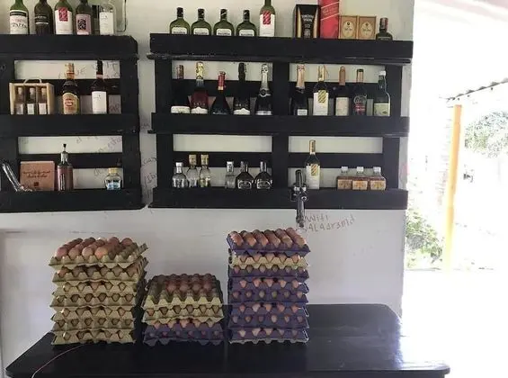 Basic Tek Kişilik Oda