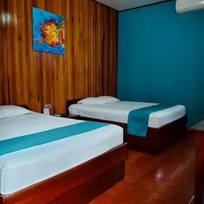 Standard room 1 Double Bed and 1 Twin Bed