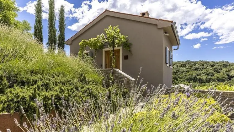 Design Villa, 1 En Büyük (King) Boy Yatak, Bahçe Manzaralı