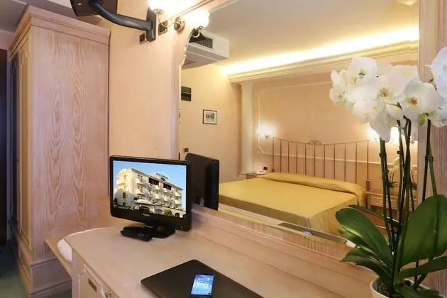 Superior Tek Büyük Yataklı Oda