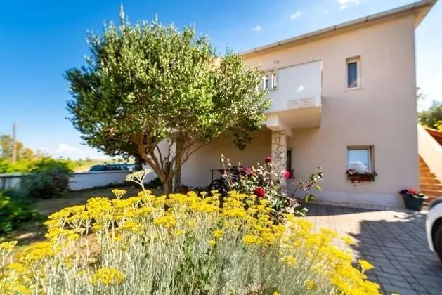 Apart Daire (San - comfortable and great location )