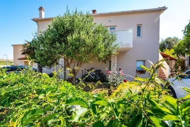 Apart Daire (San - comfortable and great location )