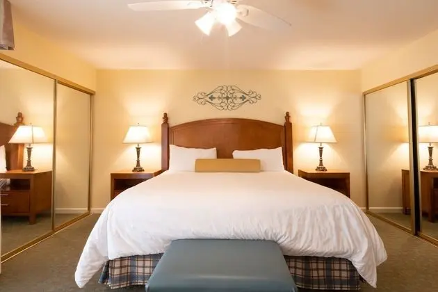 Süit, 1 Yatak Odası, Sigara İçilmez