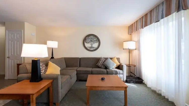 Süit, 1 Yatak Odası, Sigara İçilmez