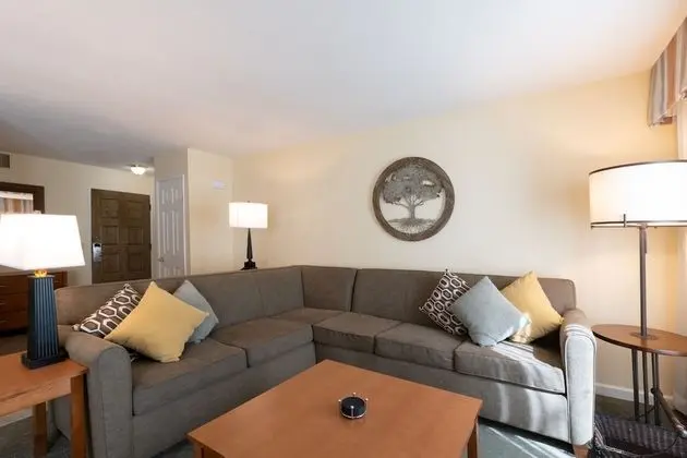 Süit, 1 Yatak Odası, Sigara İçilmez