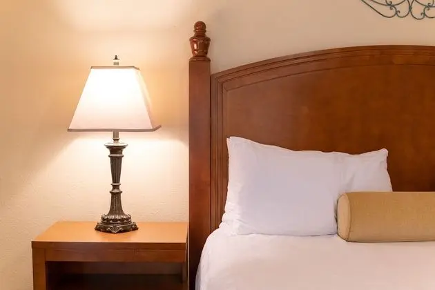 Süit, 1 Yatak Odası, Sigara İçilmez